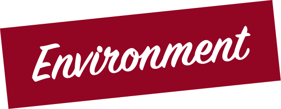 Environment