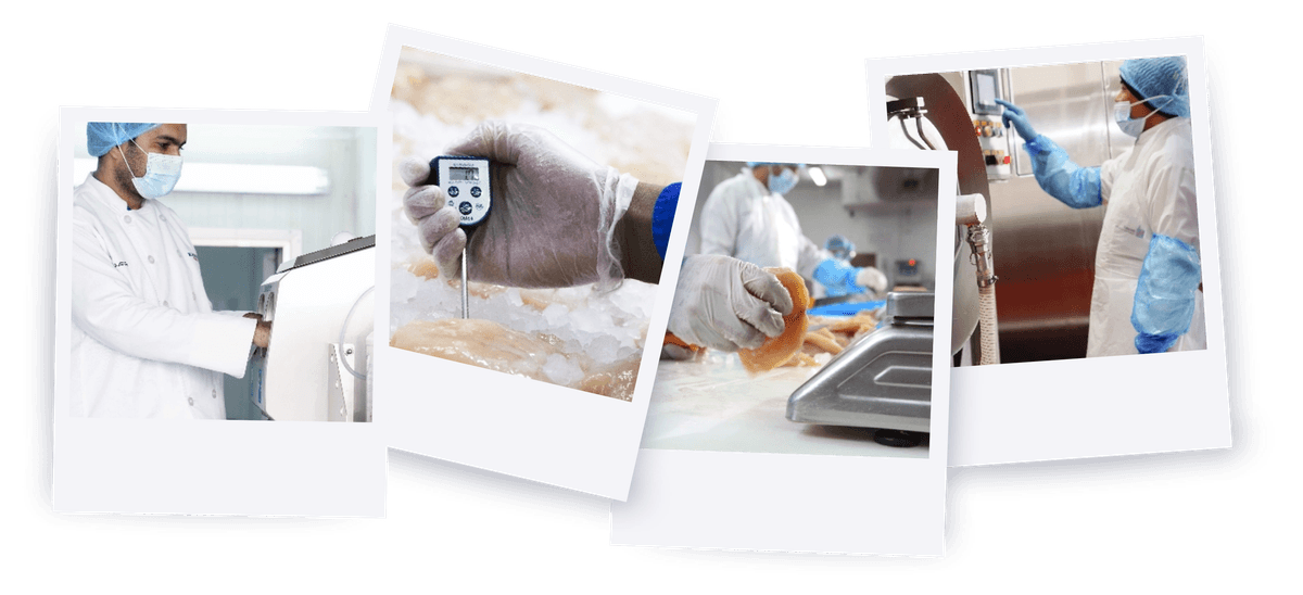 Cold Chain Quality Visual