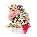 الباقات المميزة