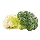 البروكلي والقرنبيط