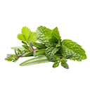 الأعشاب والبراعم