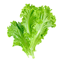 الخضار الورقية