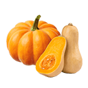 اليقطين والقرع