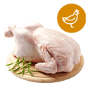 الدجاج والدواجن