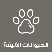 الحيوانات الأليفة