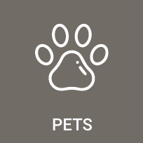 Pets